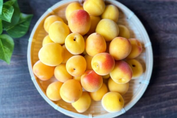 ブランド梅の王様！なぜ『南高梅（なんこううめ）』はあんなに美味しいのか？